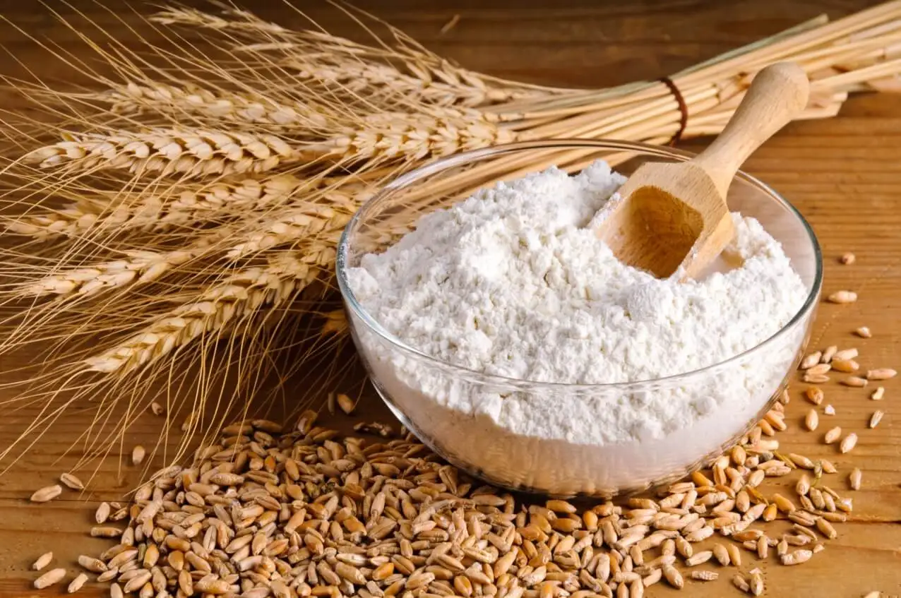 ukrainian golden soft wheat with high gluten - feed wheat grain