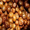 Fresh And Dried Mongongo Nuts