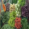 Chinese Factory Price Vegetables and Fruits Drying Equipment