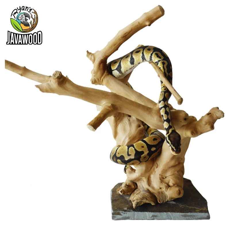 Java Wood Reptile Slate Base Terrarium Wooden Climbing Wood Branches