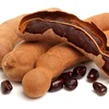 /product-detail/high-quality-fresh-tamarind-tamarind-seeds-tamarind-paste-for-sale-62012655825.html