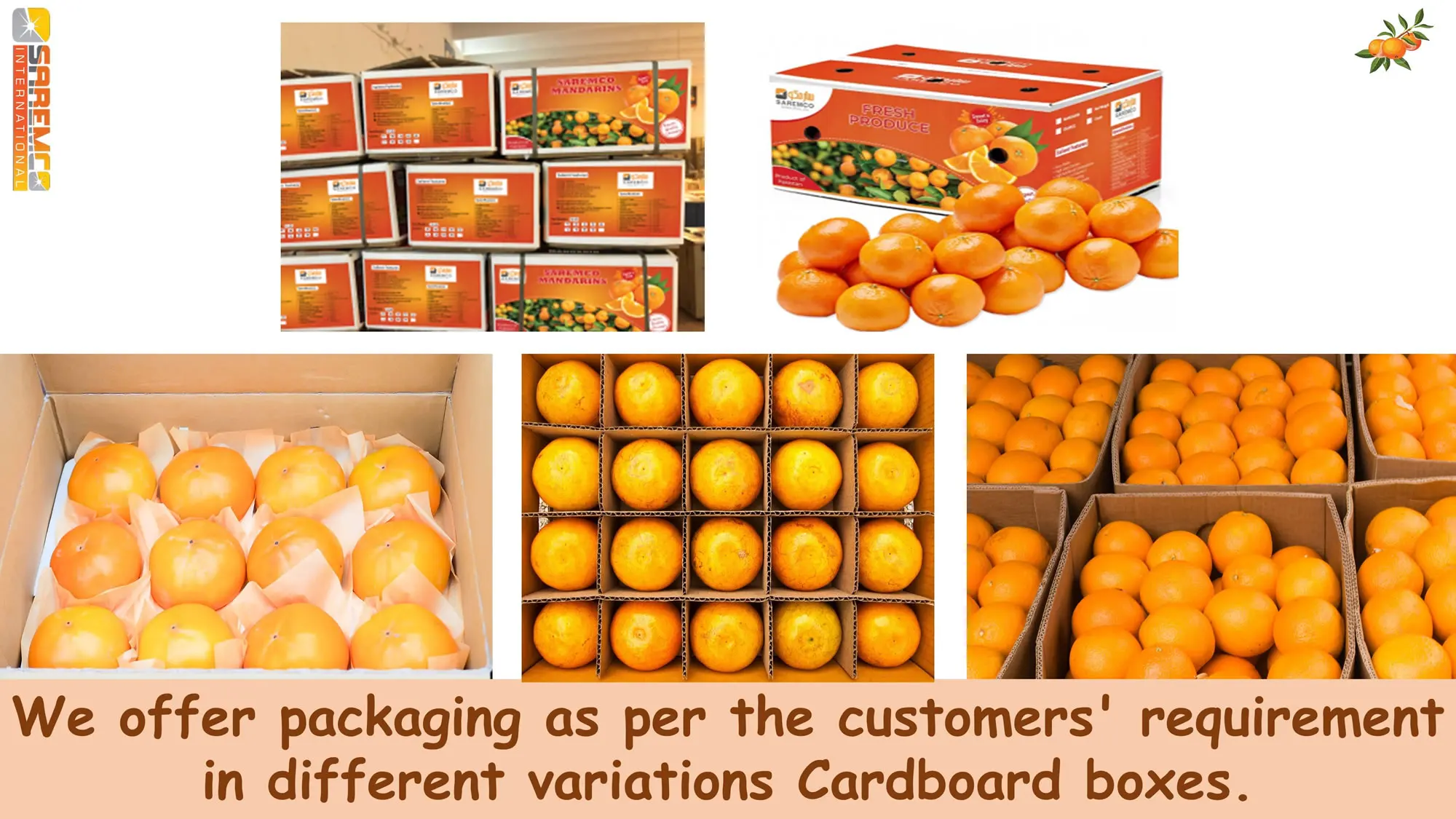 Best Quality Fresh Bulk Mandarin Orange Oranges Mandarin Kinnow From Pakistan In Customized Packaging Quick Delivery Buy Orange Baby Mandarin Oranges Fresh Mandarine Exporter Mandarin Fresh Turkey Mandarin Exporter