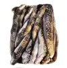 Good price Best quality seafood live eels sale