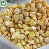 /product-detail/yellow-corn-62012238293.html