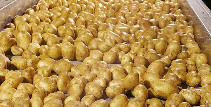 potato-processor-Nedato.jpg
