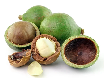 100% natural macadamia nuts with best price