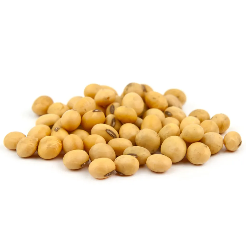 
High quality organic soya beans soybean, agriculture product 