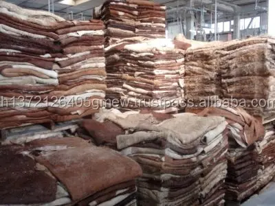 Hides-2-400x300.jpg