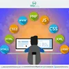 Highly Optimized Wordpress Website Development Company