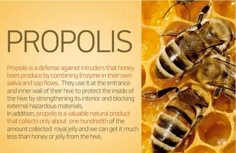PROPOLIS 10MLX5EA3.JPG
