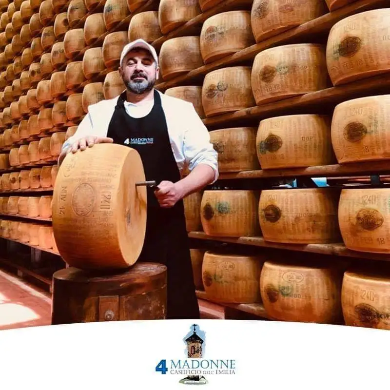 Organic Parmesan Original Parmigian Reggiano Wheel 18 Months Italian