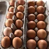 /product-detail/farm-fresh-chicken-table-eggs-brown-and-white-shell-chicken-eggs-62010495459.html
