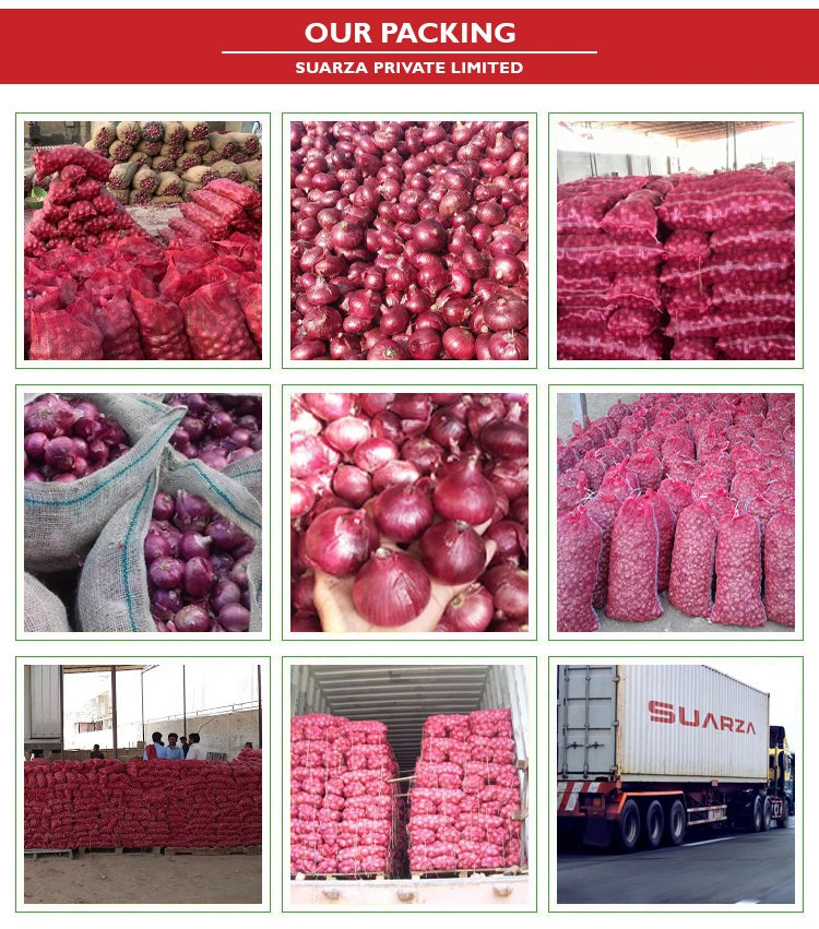 packing image onion.jpg