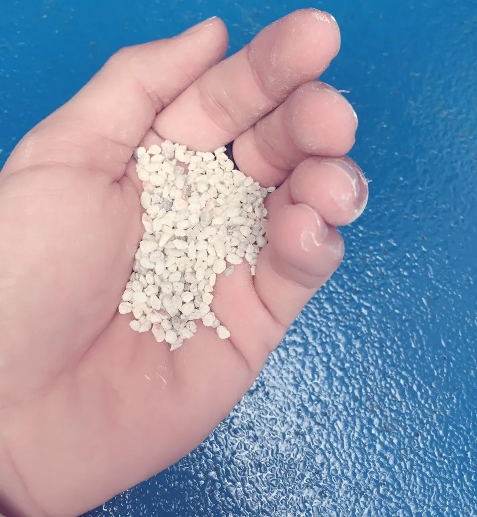 Vietnam Coral Sand Usage For Stone Aquarium Extra Large Aquarium With