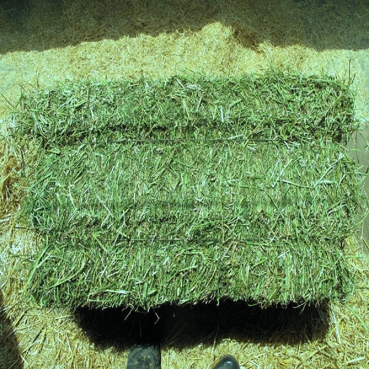 高品质alfafa干草出售 - buy alfalfa hay alfalfa hay bales alfalfa