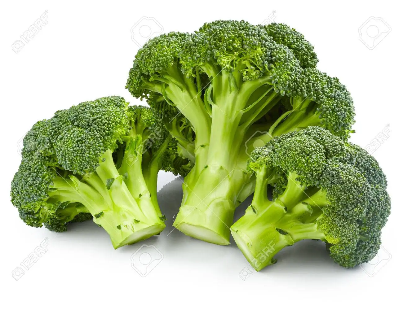best prices fresh broccoli ,fresh green brocolli,frozen fresh