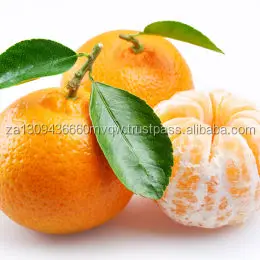 oranges 4.jpg