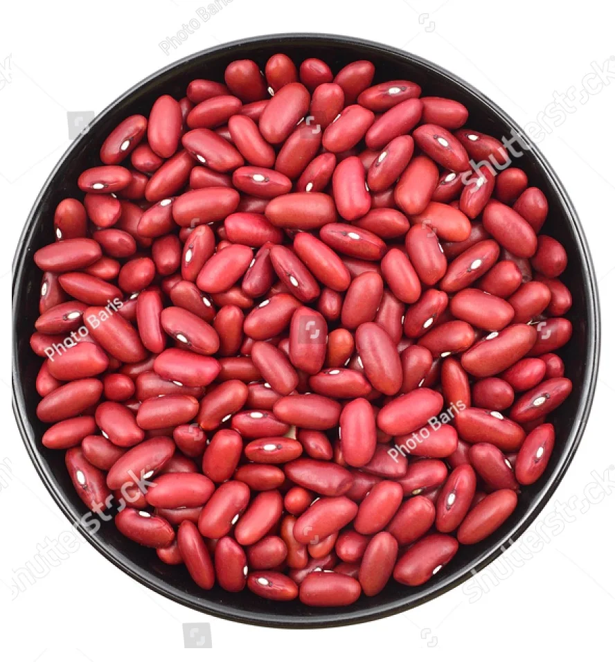 Fresh Kidney Beans Buy Ethiopian Red Kidney Beans,Types Of Kidney