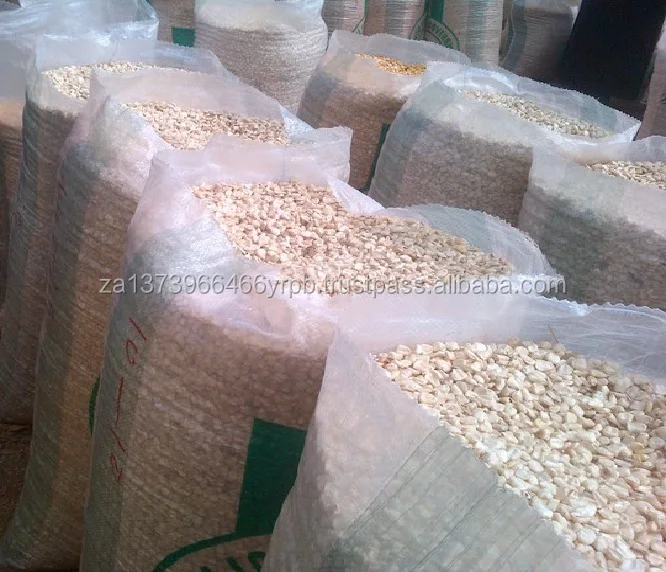 white corn .jpg