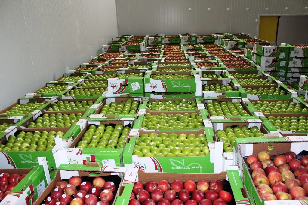 Fresh Apples From Our Gardens Red Delicious Apples Maximum Crunchy