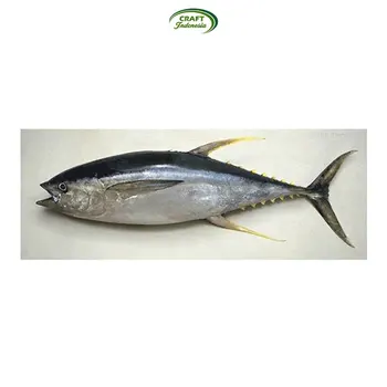 bulk exporter of loin yellow fin tuna fish from indonesia