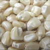 Glitinous White Corn.