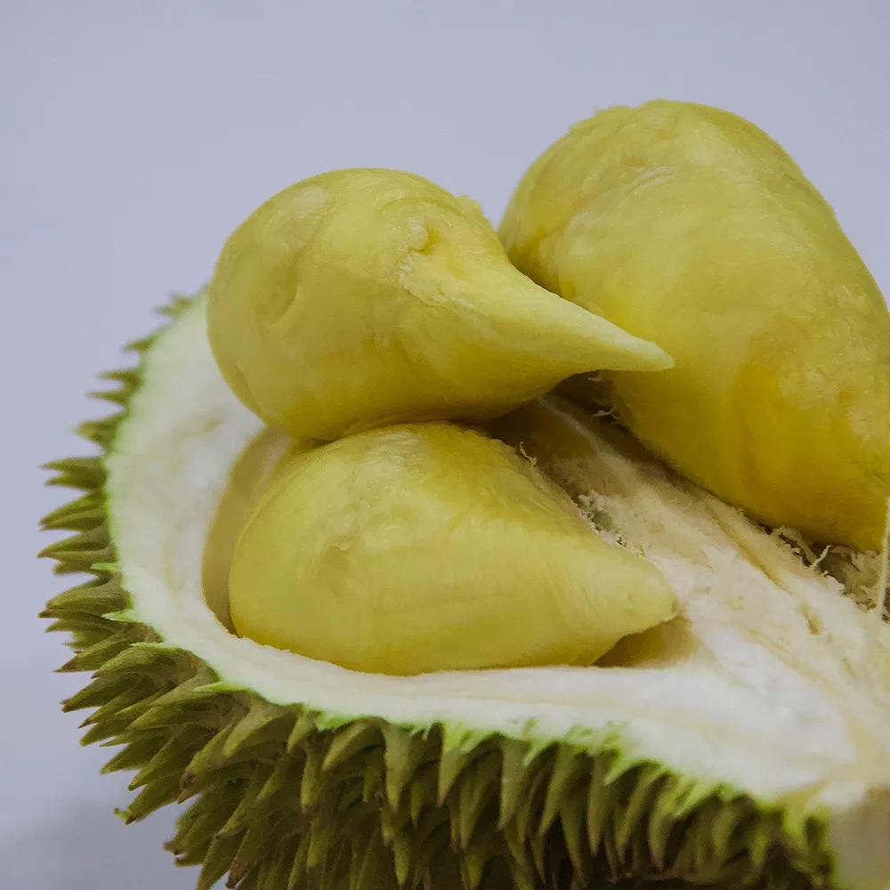 D24 durian Sultan King