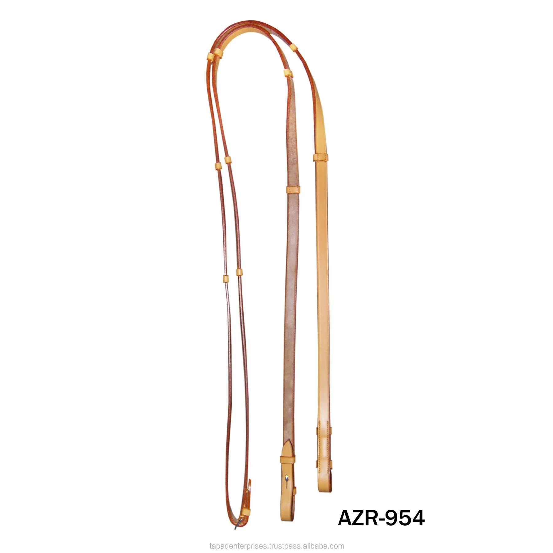 AZR 954 (Newcolor).jpg