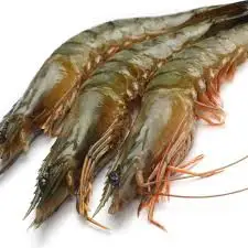 hot sale dried shrimp shell on