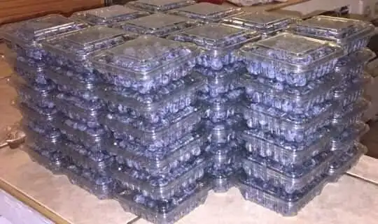 Blueberries Packing 2.jpg