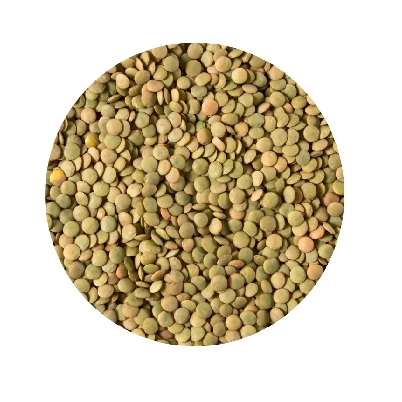 
Russian lentils crop in big bags 