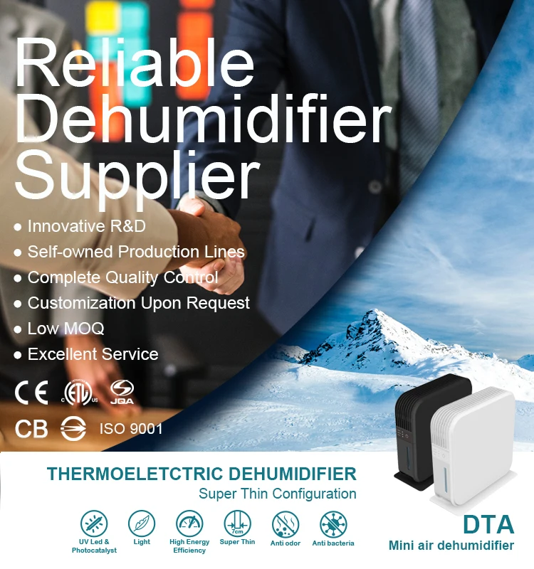 DTA ALIBABA 01