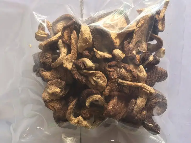 Natural Dry Shiitake Mushrooms Bulk Dried Mushrooms Contact Ms. Sandy