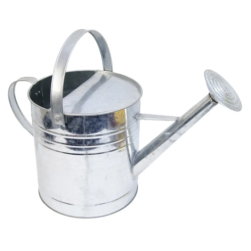 Stainless Steel Metal Garden Watering Can For Green Plants Buy Metal Water Can Metal Stainless