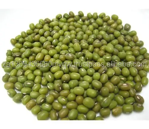 mung beans 2.jpg