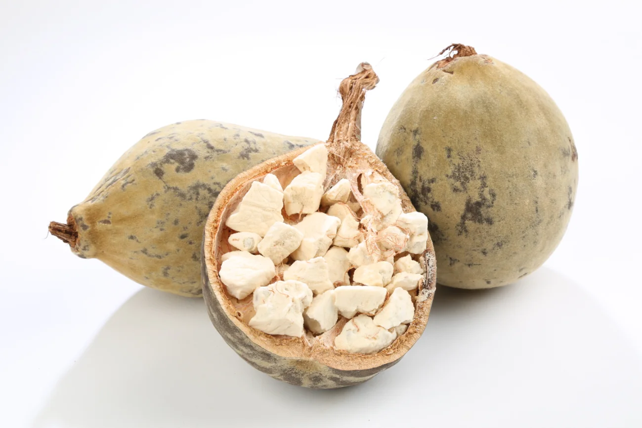 baobab foods organic baobab fruit powder