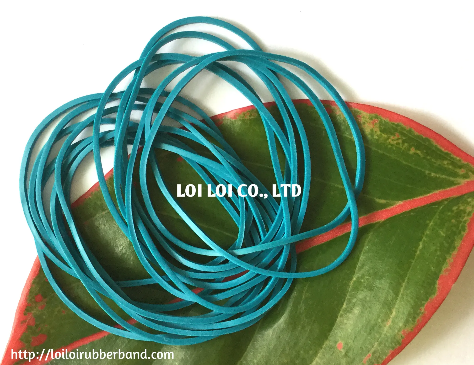 Vietnam Manufacturer Natural Blue Rubber Band Big Size 2 Inches