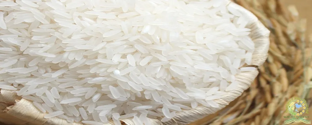 泰国长粒白米大米出售