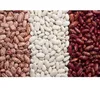 Chinses dong bei original light speckled kidney beans long shape for sale