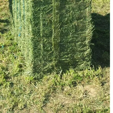 Alfalfa Hay Bales666.jpg