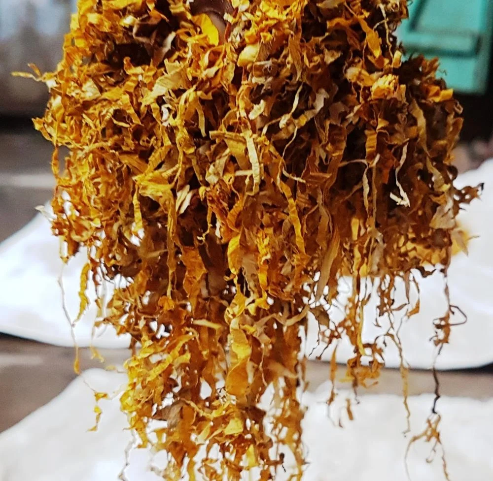 Golden Herb LTX.jpg