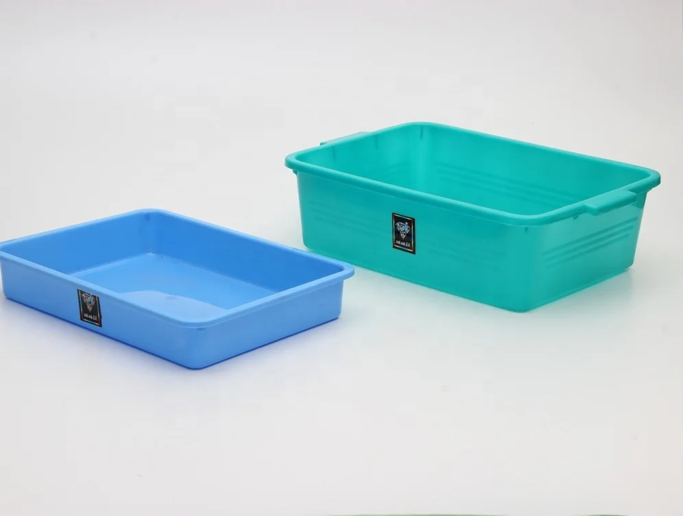 Tray 444, Tray 555.JPG