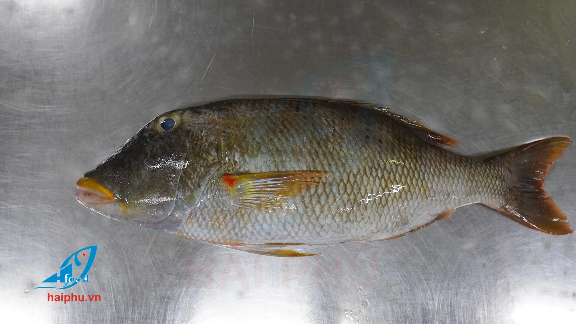 main best production called emperor frozen fish with hai phu