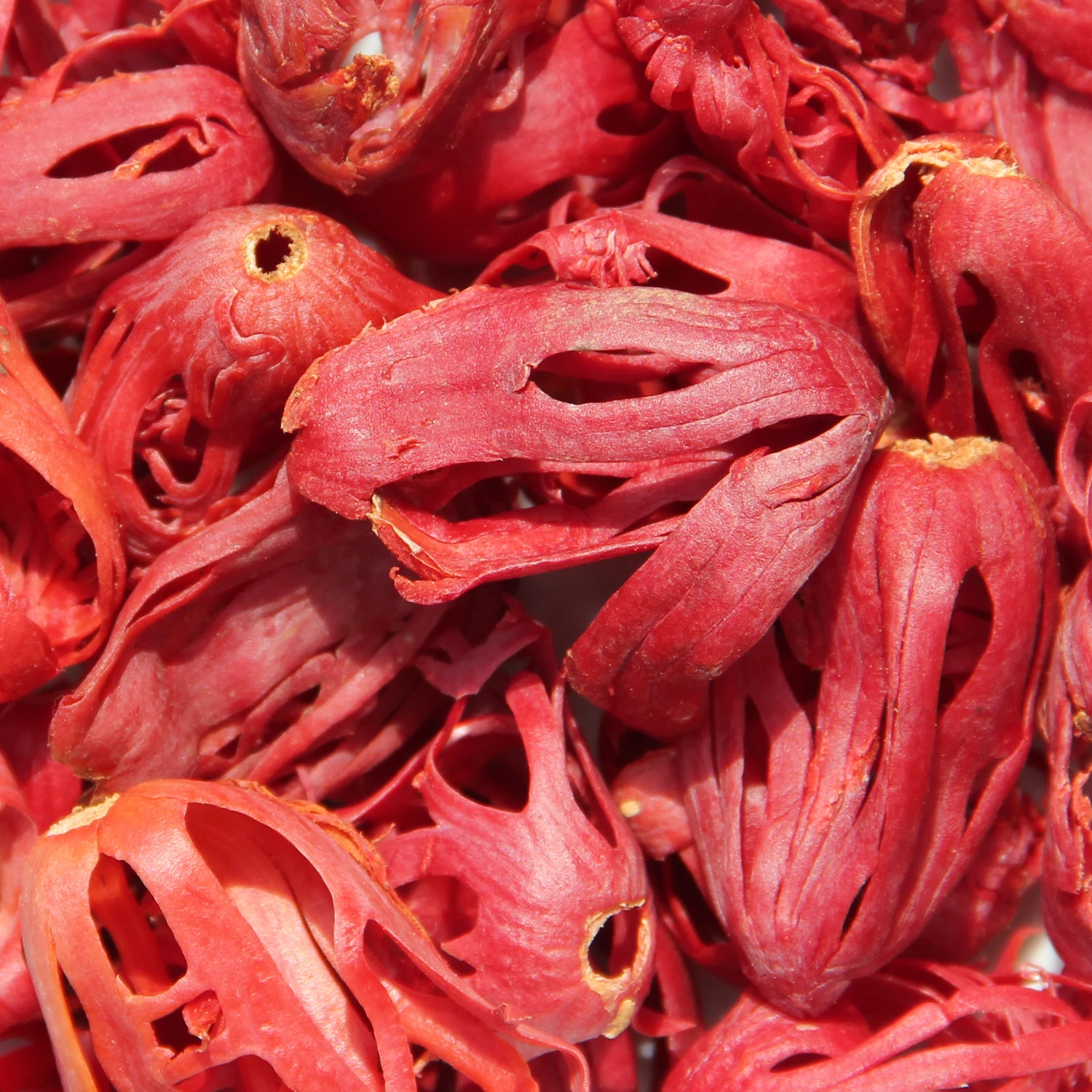 Mace Whole Spice + Pure Mace Powder [50 Mesh] 100 Organic Nutmeg