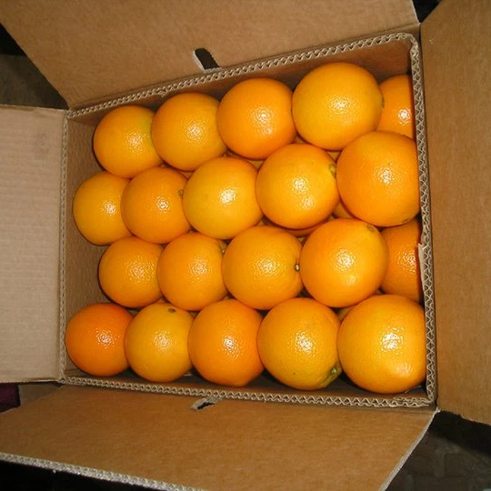 The Last Call To Have Best Quality Egyptian Fresh Orange (very