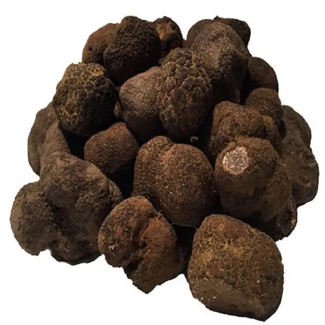 Black mushroom 01.jpg