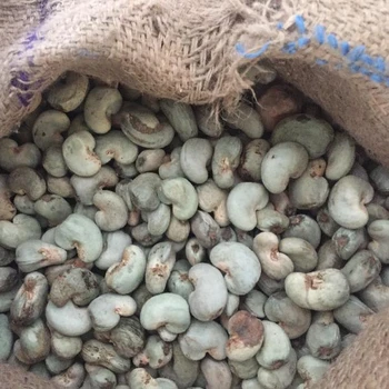 dried raw cashew nuts
