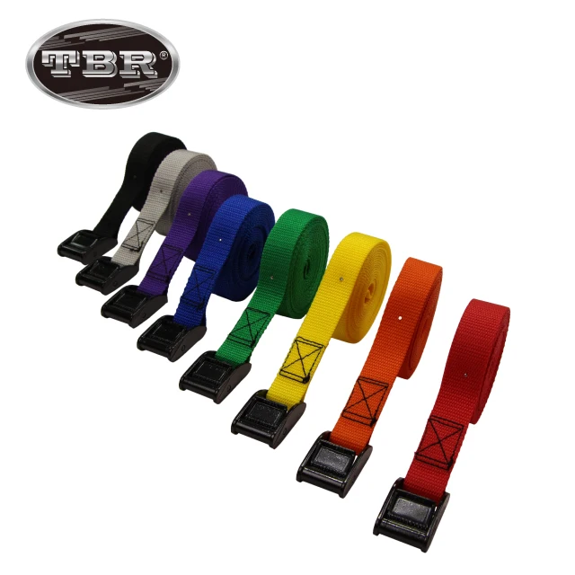 Print Your Logo on the Strap with Zinc Alloy Metal 25mm Cam Buckle Tie Down Straps 4m