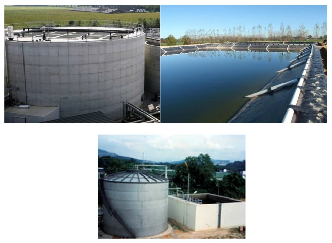 highly stable non corrosive bacta cult anaerobic bacteria for