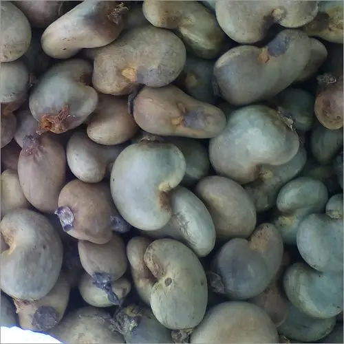 
The best-selling dried raw Cashew Nut from Dr. Th Medi Pharma made 